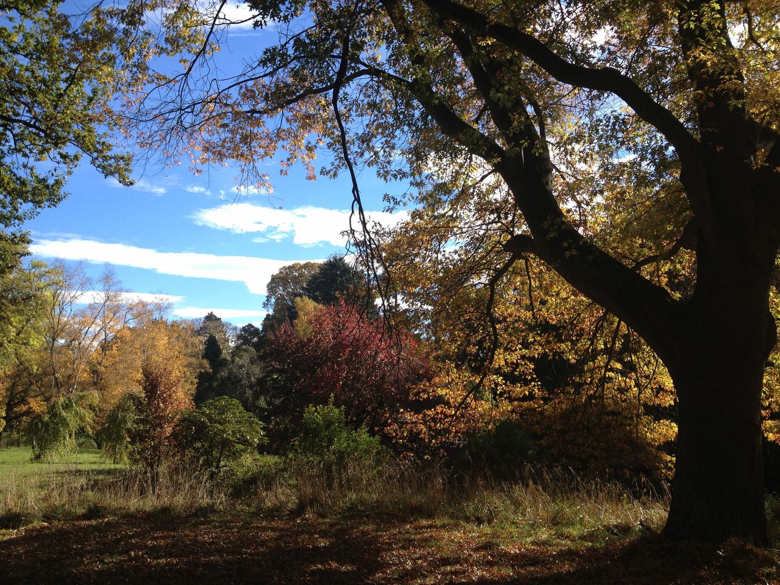 Botanic Gardens