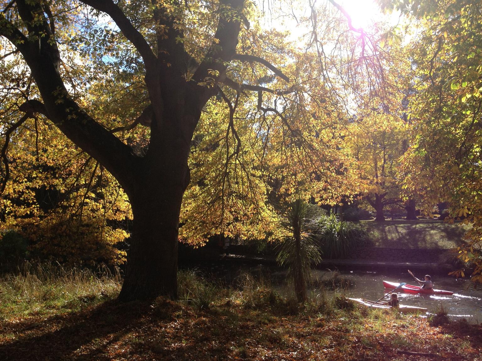 Botanic Gardens