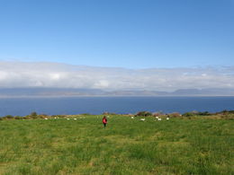 Photo of Beautiful view While all the others went to the sheep dog show, my new friends and me try to find some place beautiful. , Yiling Jhan - October 2015