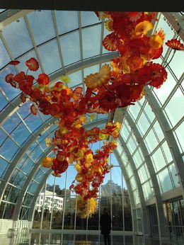 Photo of Chihuly piece in the Glasshouse Stunning suspended glass sculpture in the Glasshouse in the Chihuly garden. , AM - February 2016