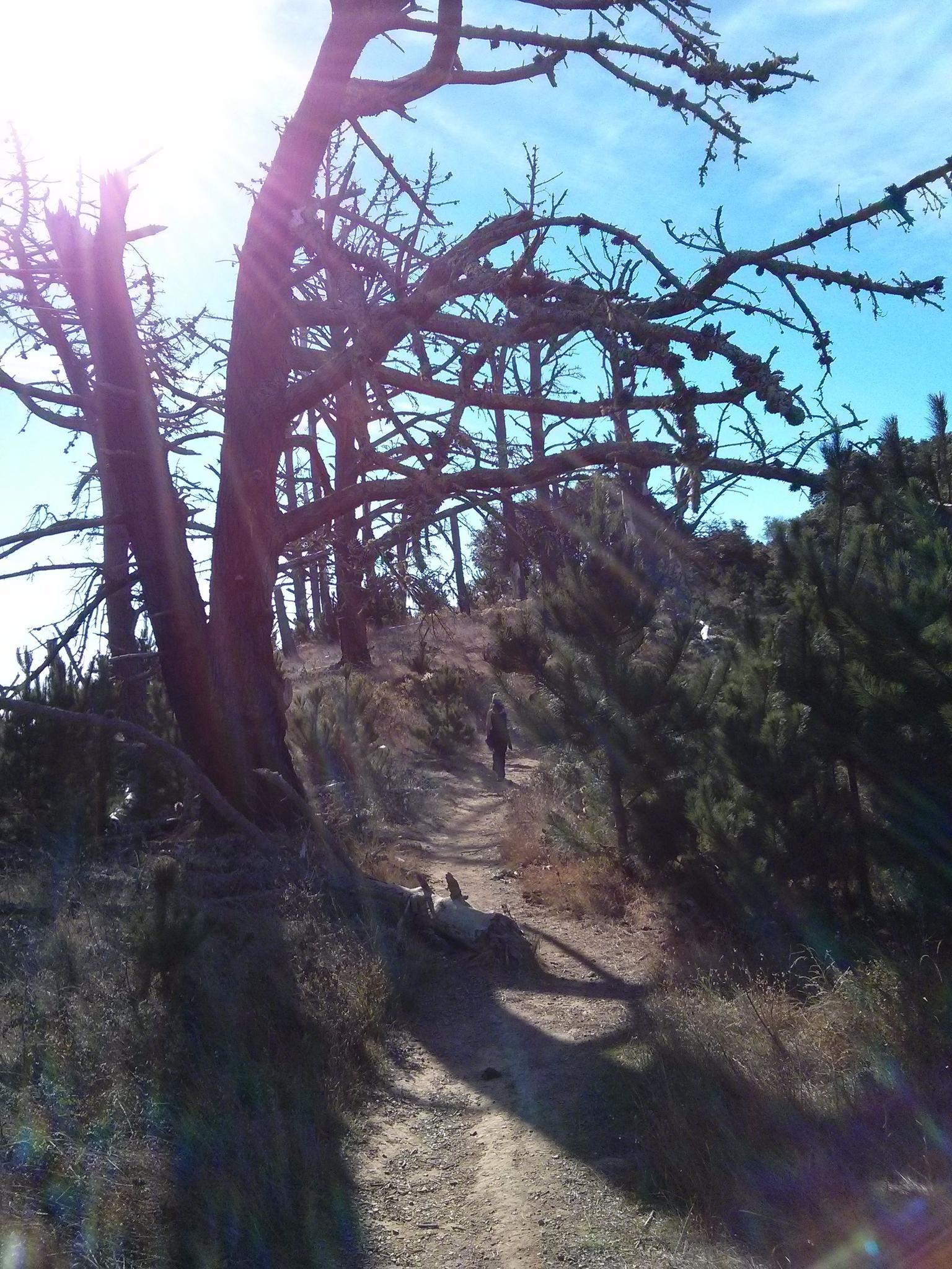Path to Mount Livermore
