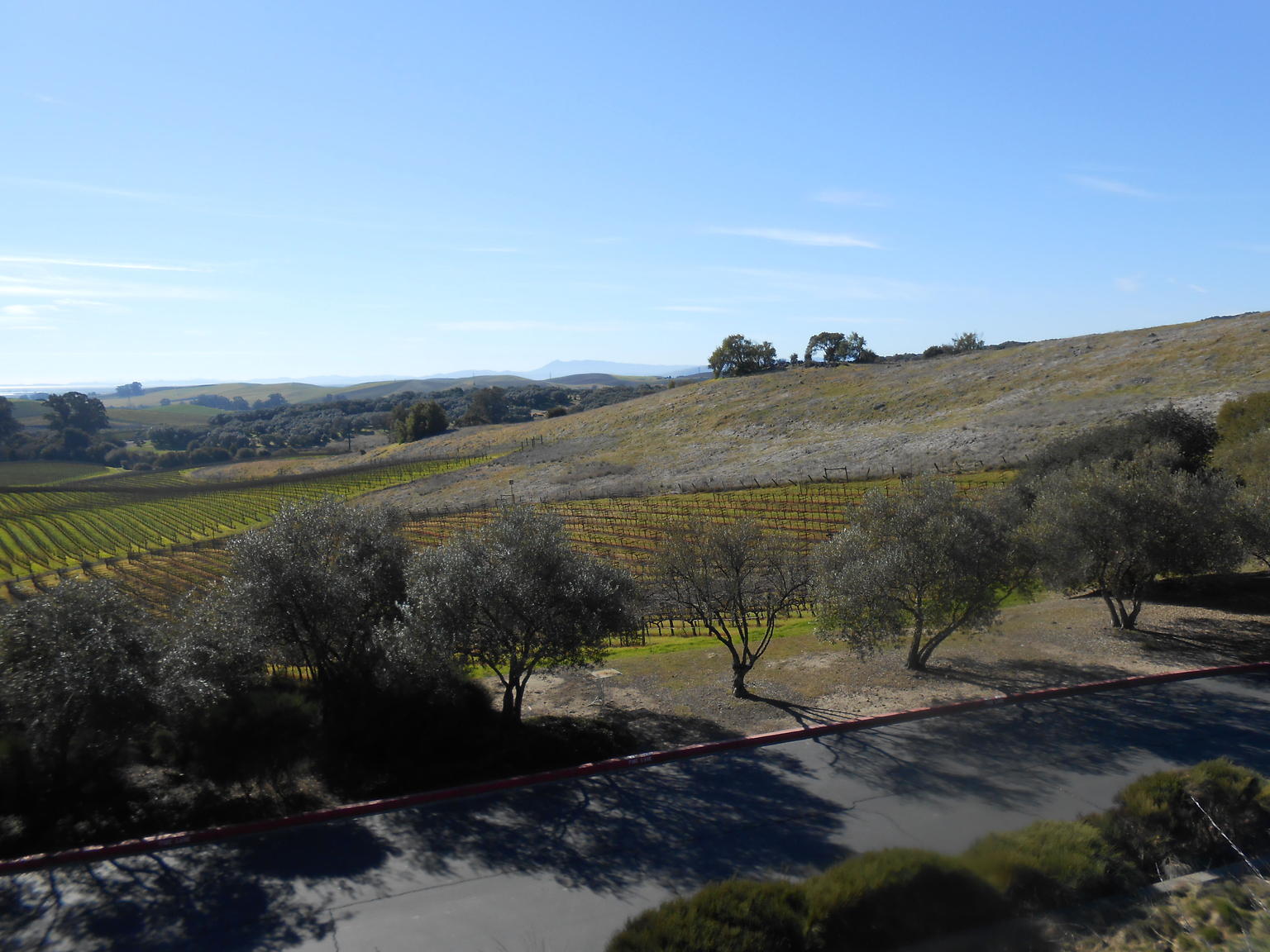 Wine tour