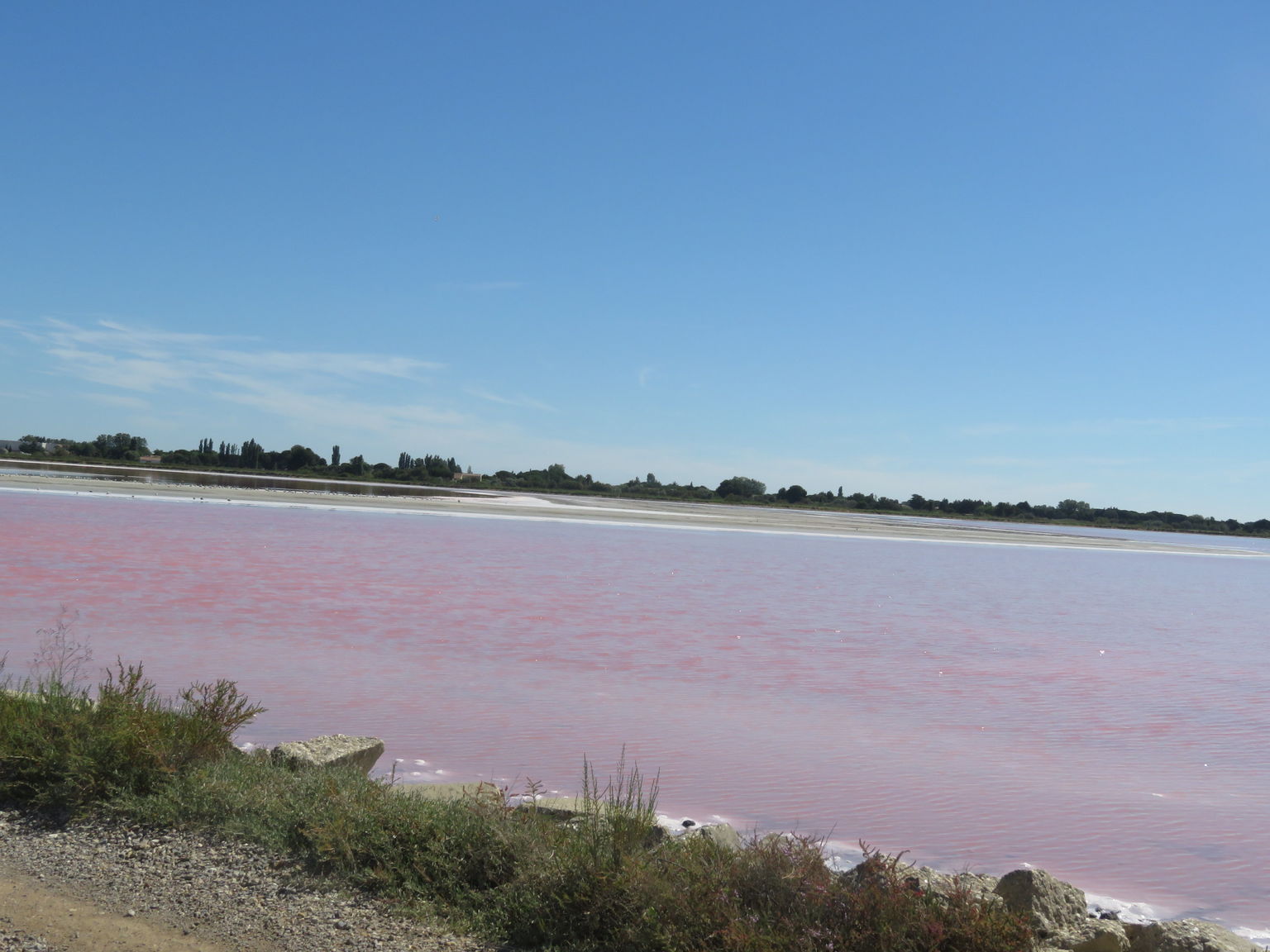 Salt ponds with pink hue.