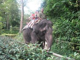 Photo of Elephant Ride Xara having her elephant ride, but not on the elephant she wanted to go on!, Esther B - August 2009