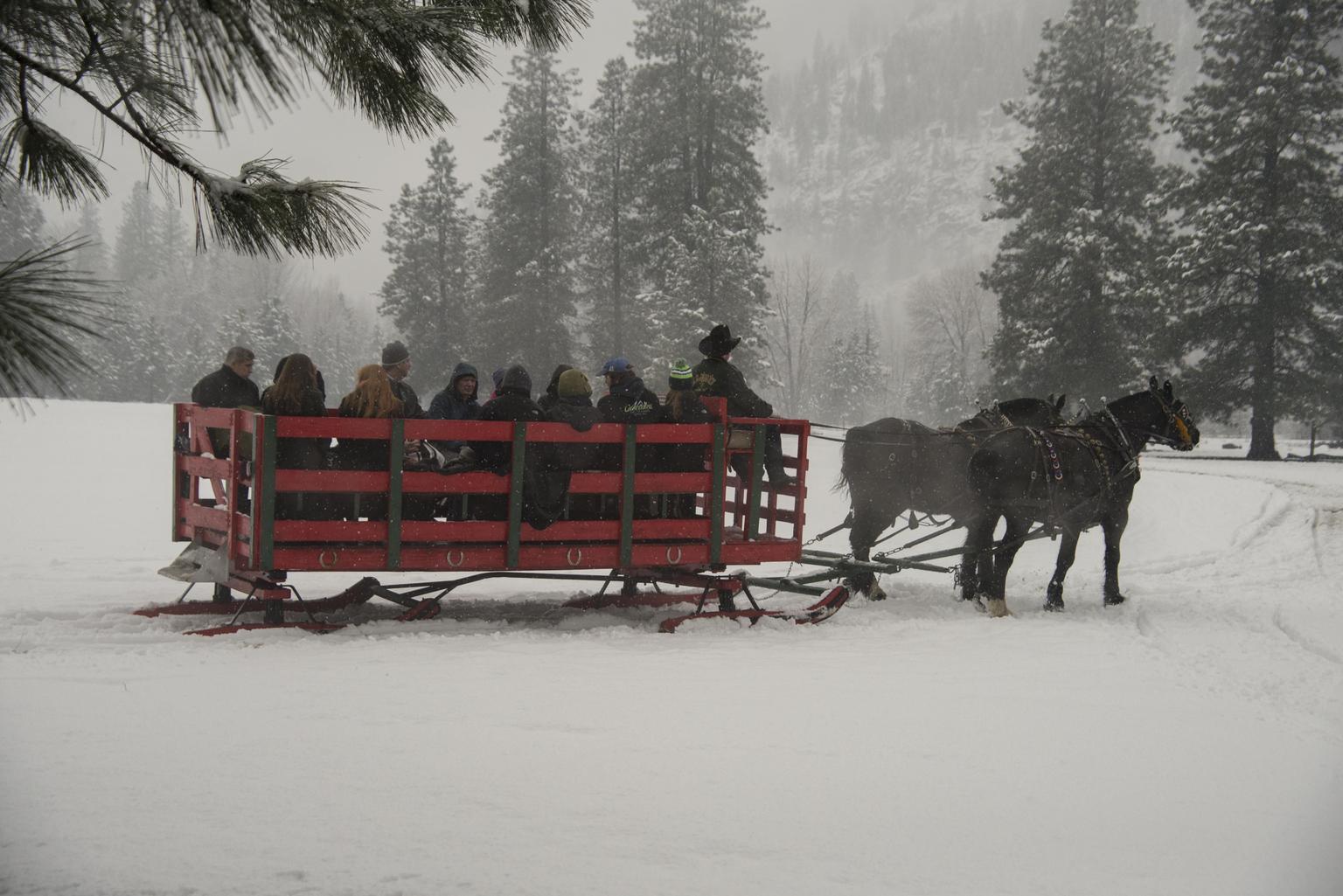 Sleigh ride near Icicle River