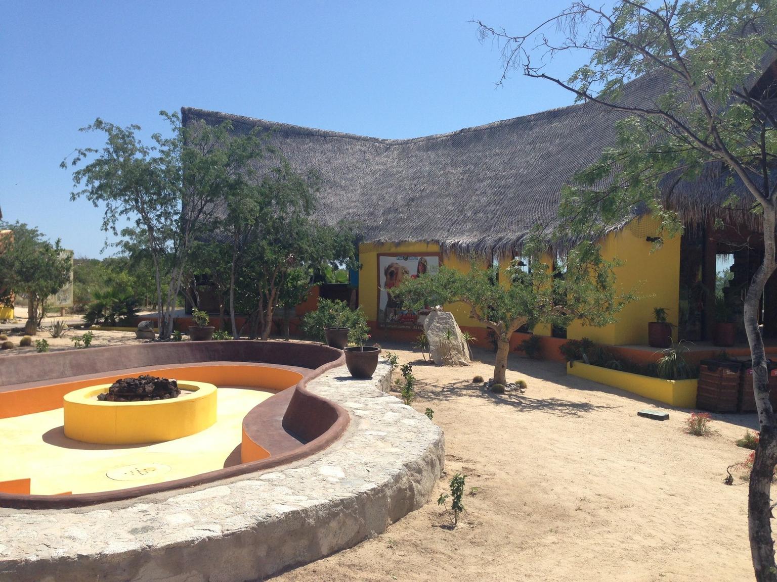 Los Cabos Canopy Tour