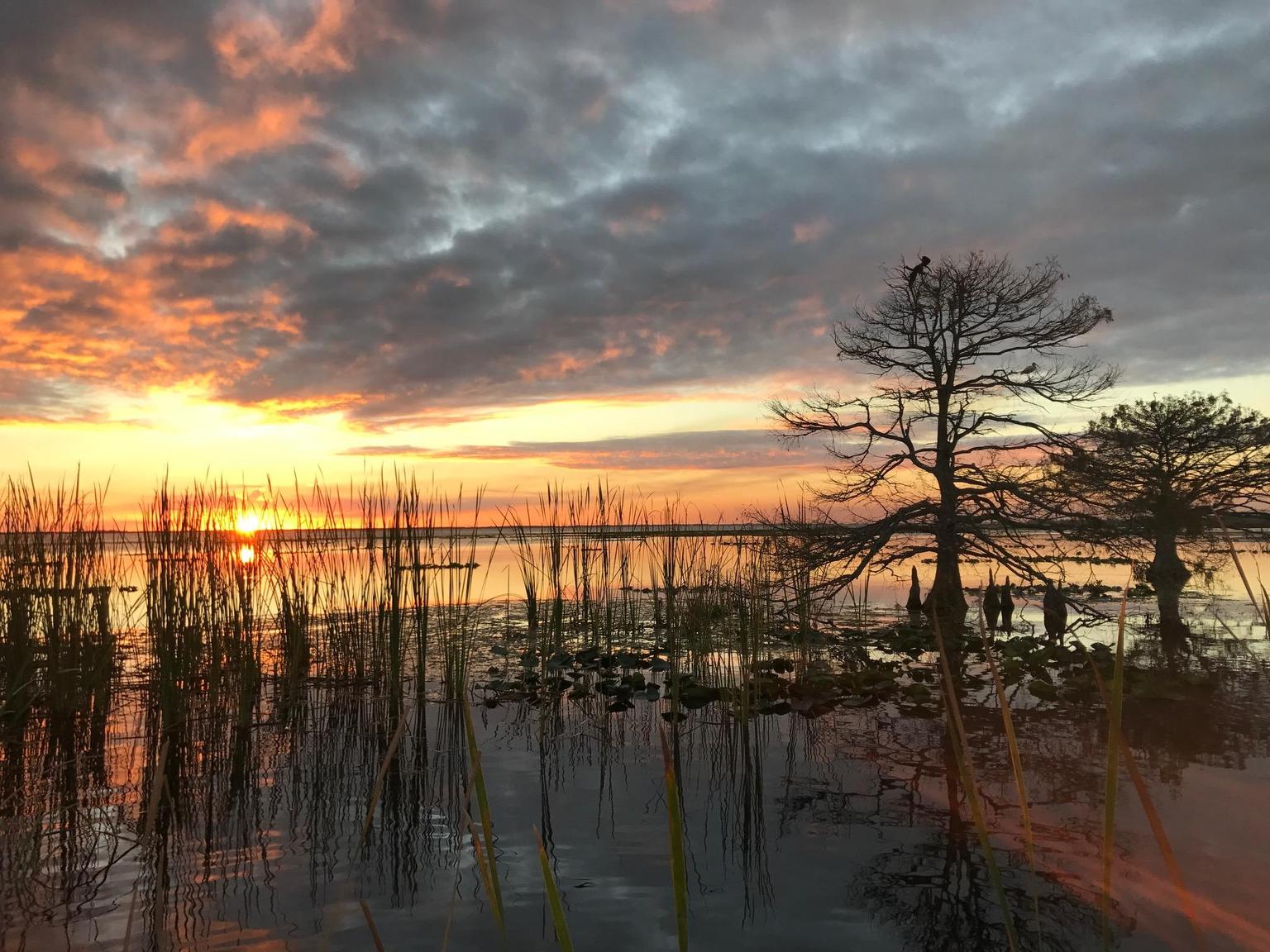 This is a serious sunset!