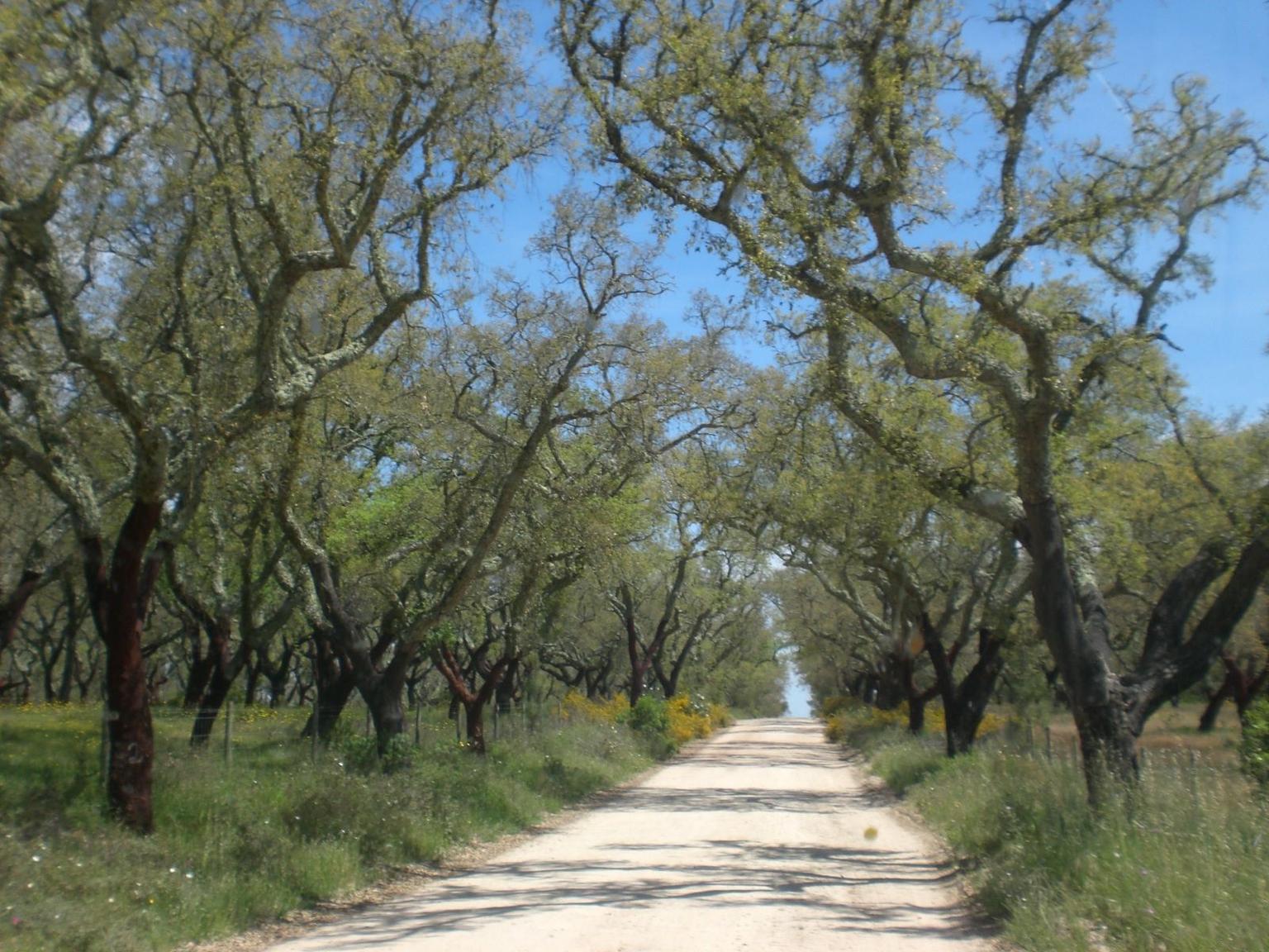 Alentejo