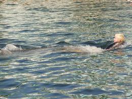 Photo of Back stroke with a difference Terri getting a push from Bella and Fiji at Dolphin Plus, Key Largo - June 2010