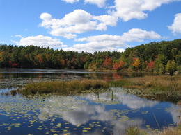 Photo of Fall foliage around a beautiful country lake. One of the scenic stops chosen by our excellent driver on the Fall Foliage Tour from Boston. , Alan H - October 2013