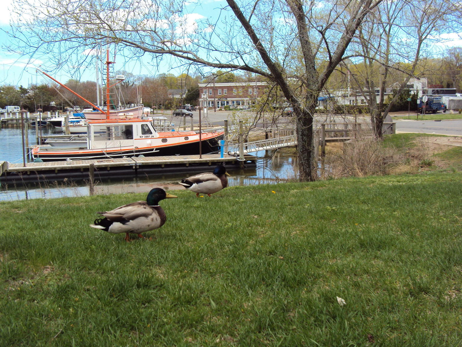 Sag Harbor