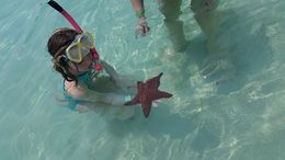 Photo of Crystal clear water The water in Roatan is so clear you can see many fish and even starfish! , Barbara L - May 2016