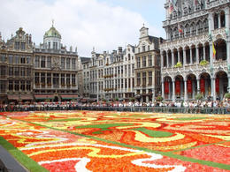 Photo of Square with flower carpet (Grand-Place) Central square (Grand-Place) in Brussels, with flower carpet. A total of 700,000 begonias used for an impressive 300 m2 carpet - June 2011