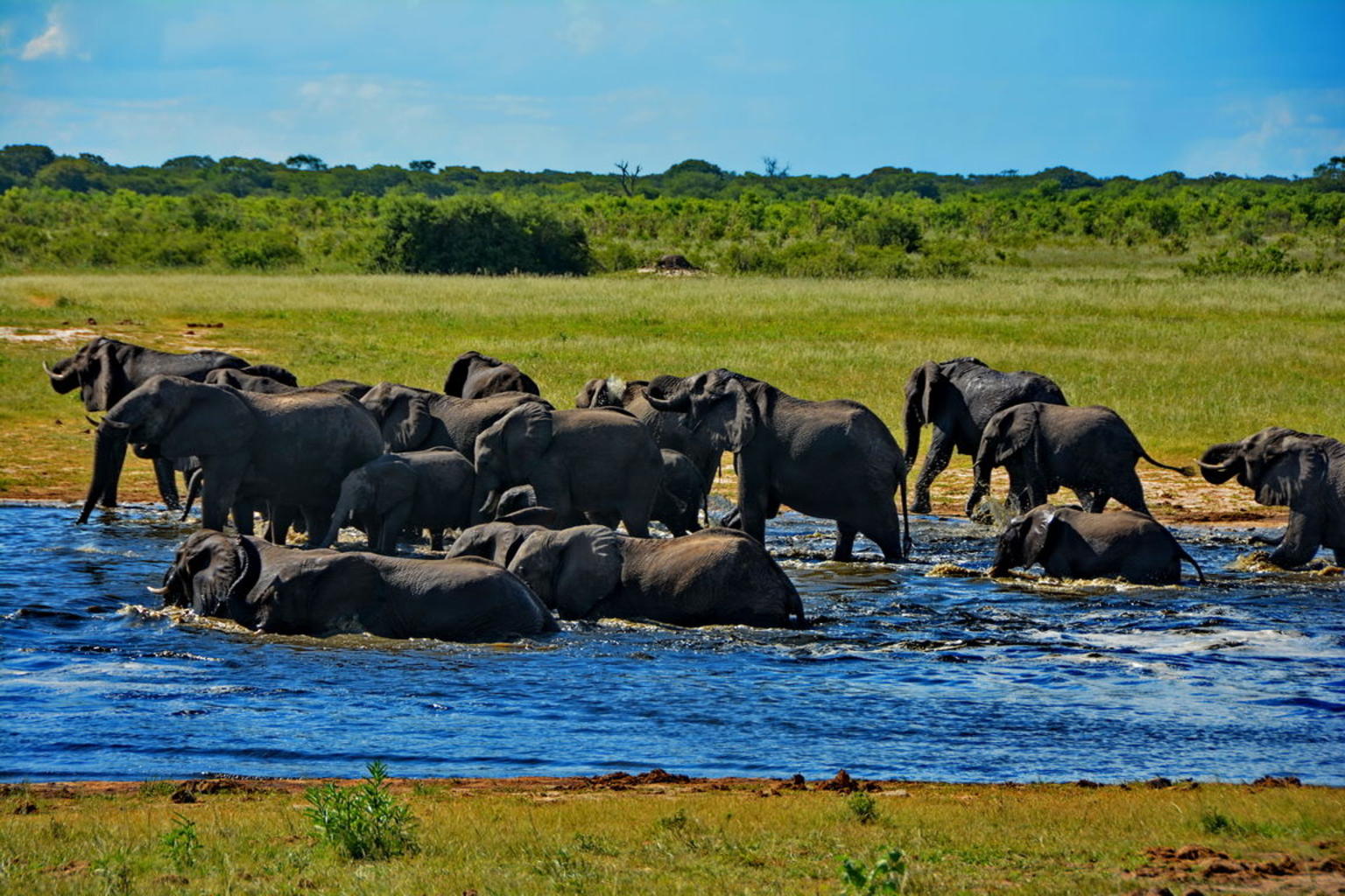 national park tour zimbabwe