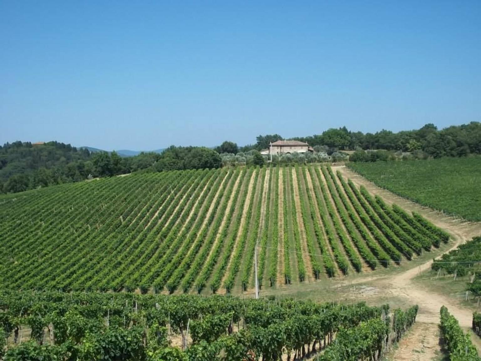 Chianti