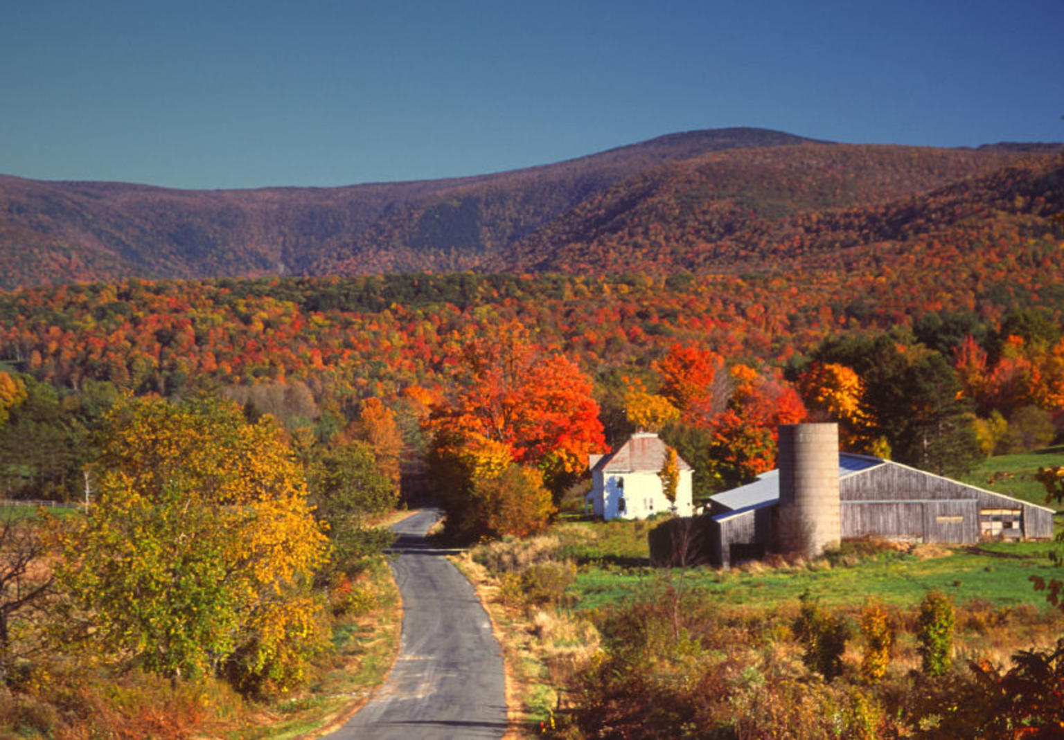 Fall foliage in the Berkshires region of Massachusetts