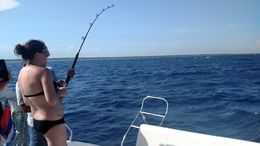 Photo of Fishing off the back They were doing some fishing off the back of the boat. , Michelle M - June 2016