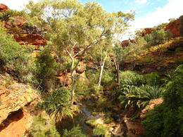 Photo of Garden of Eden River flowing, bird singing, wind gently blowing.... paradise it is!, Patricia P - January 2011