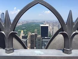 Photo of Overlooking Central Park from the Top of the Rock First observation deck, view of Central Park, May 28 2016 , Nora L - June 2016