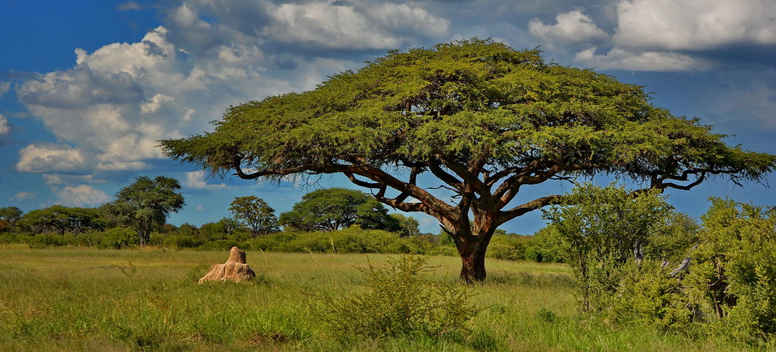 10 Best National Parks In Zimbabwe - Updated 2021 | Trip101