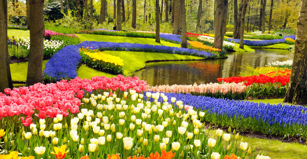 Keukenhof Gardens Half Day Guided Tour From Amsterdam With Free 1 Hour Cruise 2019