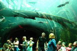 California Academy of Sciences