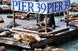 Pier 39