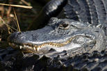 Everglades National Park