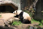 San Diego Zoo