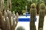 Majorelle Garden (Jardin Majorelle)