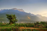 Mt. Emei (Emeishan)