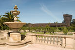 De Young Museum