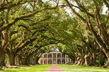 Oak Alley Plantation