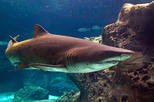 CretAquarium (Thalassocosmos)