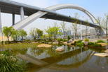 Lupu Bridge