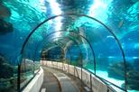 Barcelona Aquarium (L'Aquàrium Barcelona)