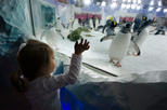 Kelly Tarlton's SEA LIFE® Aquarium