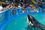 Miami Seaquarium