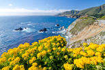 17-Mile Drive