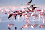 Lake Nakuru National Park