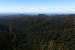 Springbrook National Park