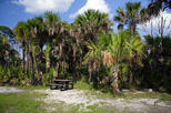 Big Cypress National Preserve