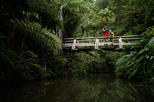 Kaitoke Regional Park