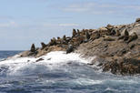 South Bruny National Park