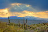 Tonto National Forest