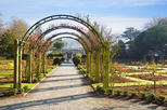 Hagley Park