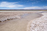 Cejar Lagoon (Laguna Cejar)