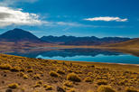 Altiplanic Lagoons