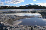 Lake Rotorua