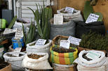 Witch's Market (Mercado de las Brujas)